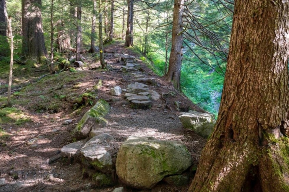 Private Ketchikan Mountain Lake Trek image