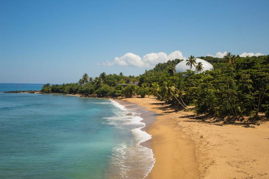 Our Favorite Things to Do & See In Rincon