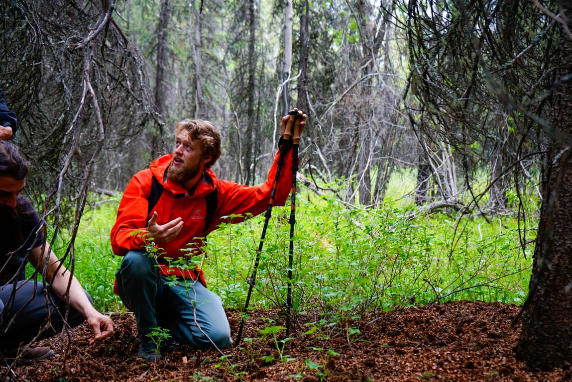 Denali Naturalist Walking Tour Tour Image 7