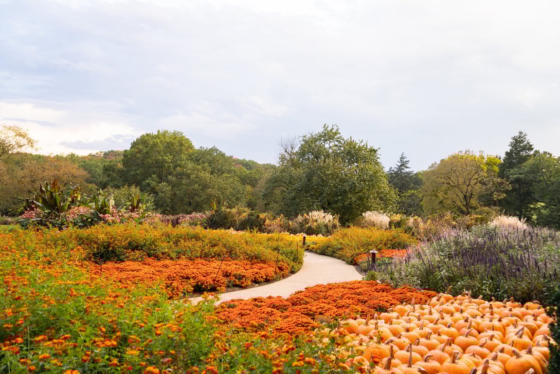 Top 10 Things to Do in Nashville in October