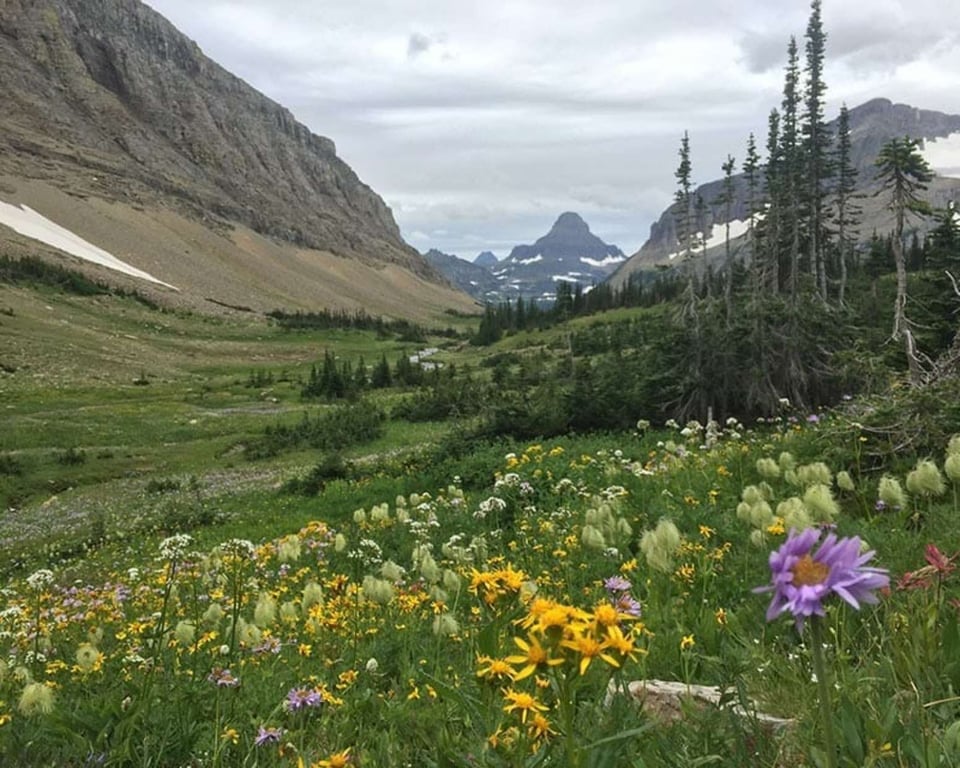 Siyeh Pass Glacier Park Guided Day Hike Tour Image 3