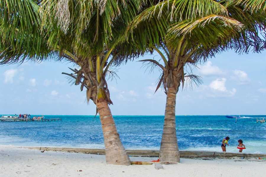 Twin palms frame kids playing by a turquoise ocean.