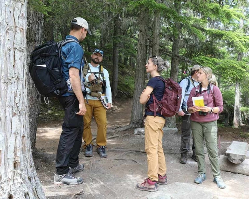 Upper McDonald Creek Glacier Park Guided Day Hike image