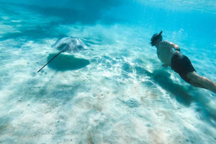 A swimmer glides through the ocean, closely following a graceful stingray over a sandy sea floor.