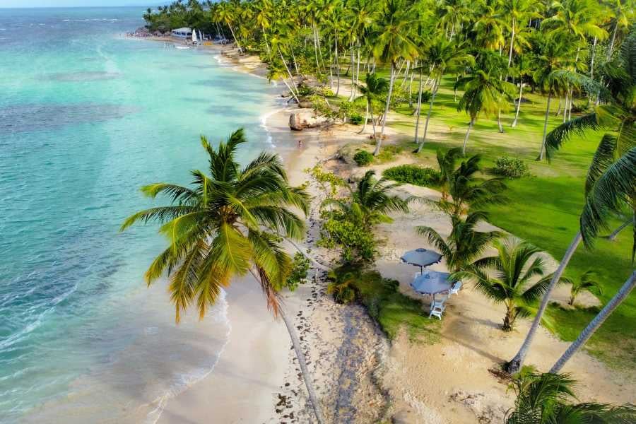 A peaceful beach with sandy shores, palm trees, and a small beachfront hut.