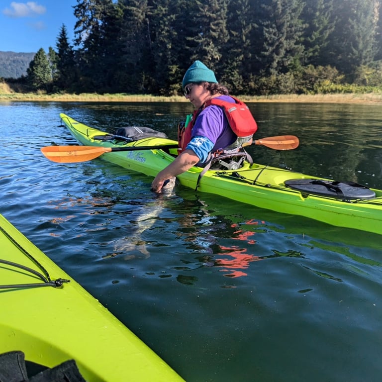 Guided Kayak Tour Tour Image 5