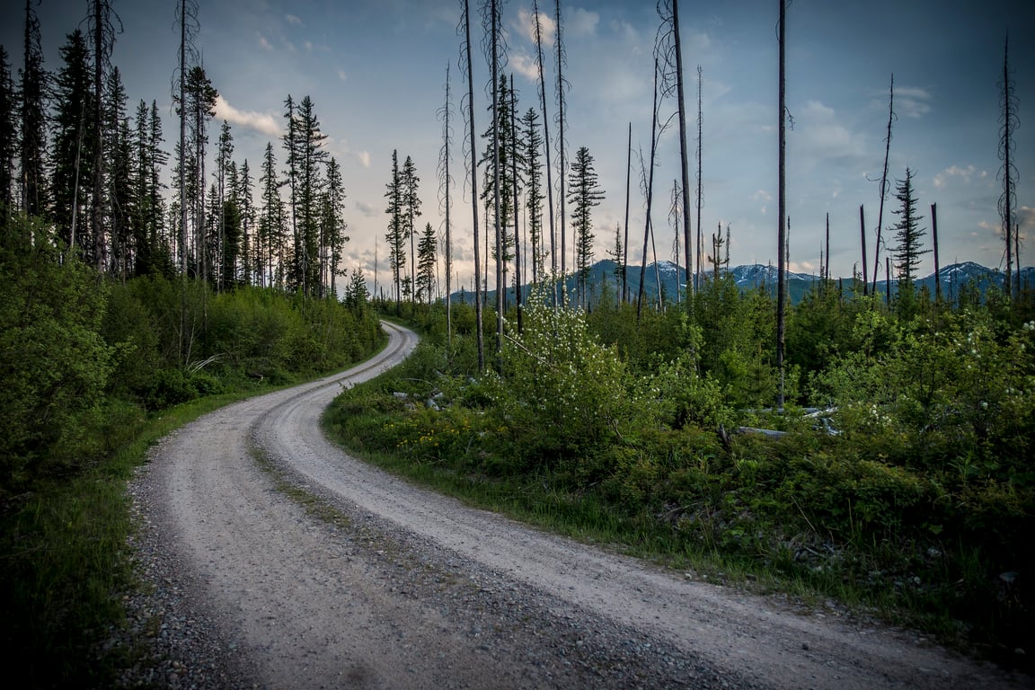 Polebridge Private Sightseeing Experience image