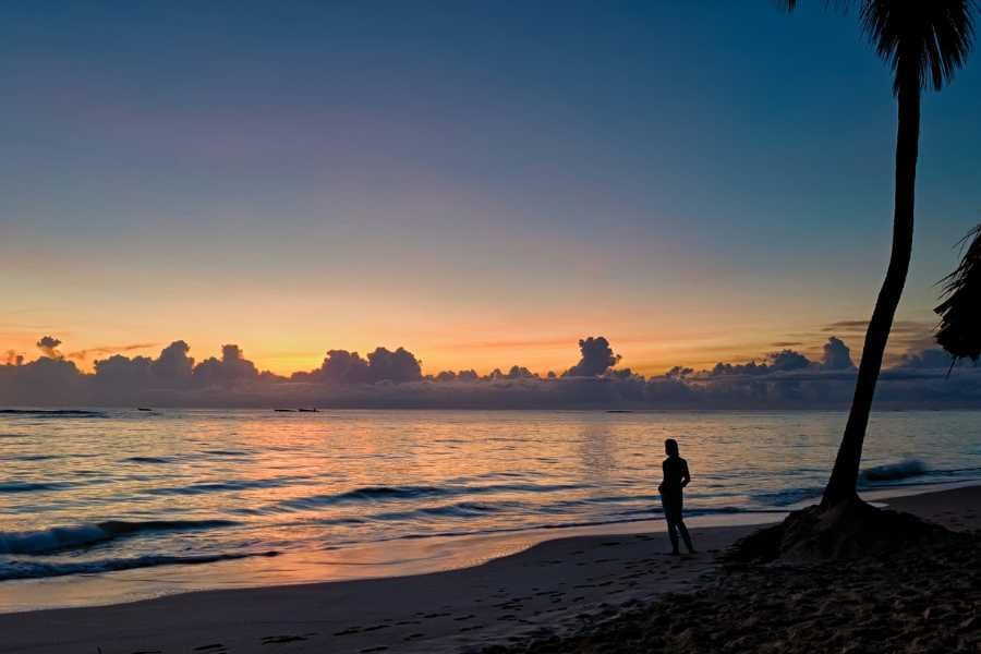 A beautiful view of the beach