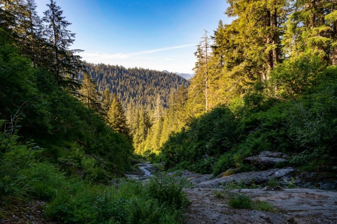 Private Ketchikan Mountain Lake Trek Tour Image 2