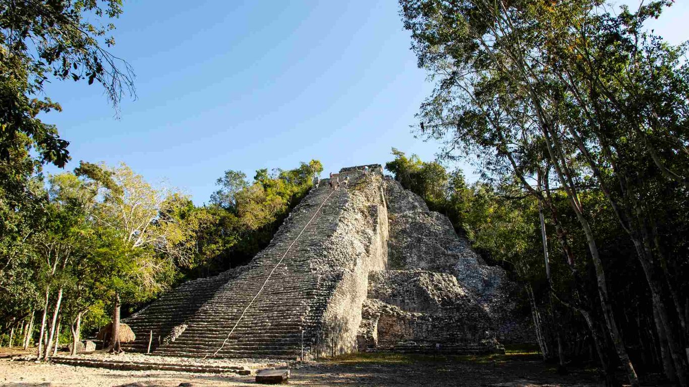 Private Coba, Cenote, & Spider Monkeys Jungle Tour image