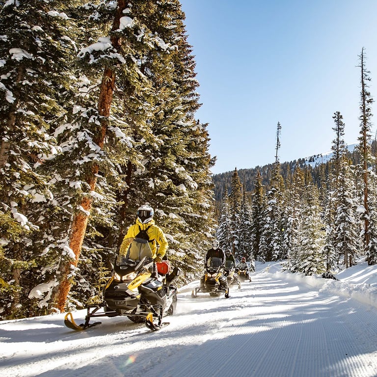 Alpine Express Two Hour Snowmobile Tour Tour Image 9