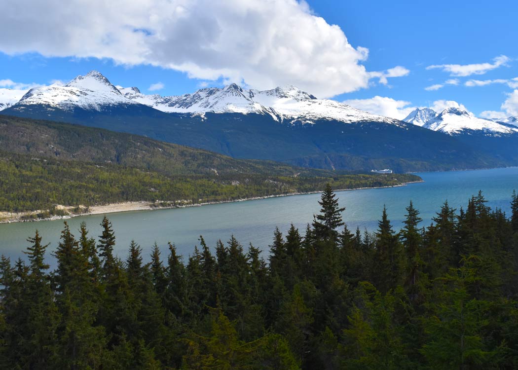 Skagway Sled Dog and Musher's Camp Tour Image 12