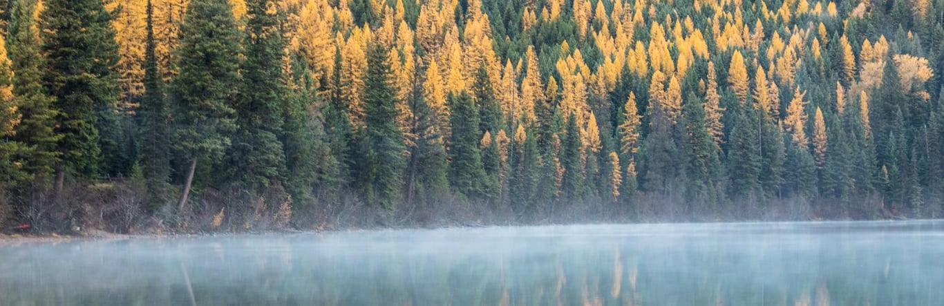 Fall colors in Glacier National Park