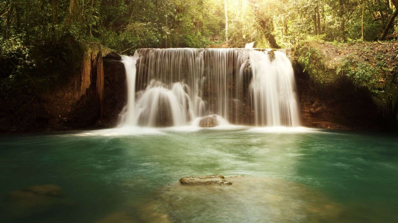 Appleton Estate, Black River & YS Falls Combo Tour Image 10