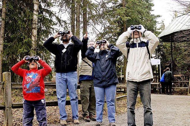 Our Local Expert's Guide to the Alaska Zoo image