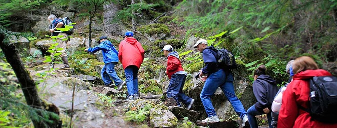 skagway glacier bay tours