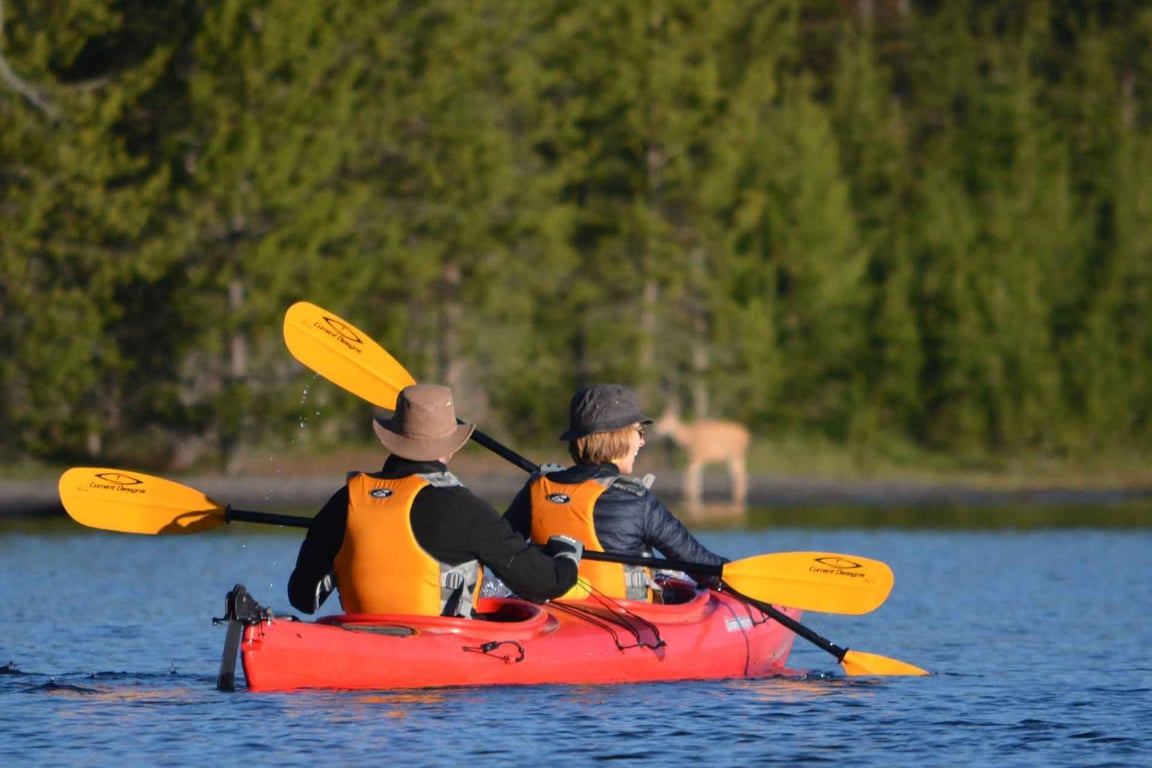 Yellowstone Lake Kayak Eco Tour image