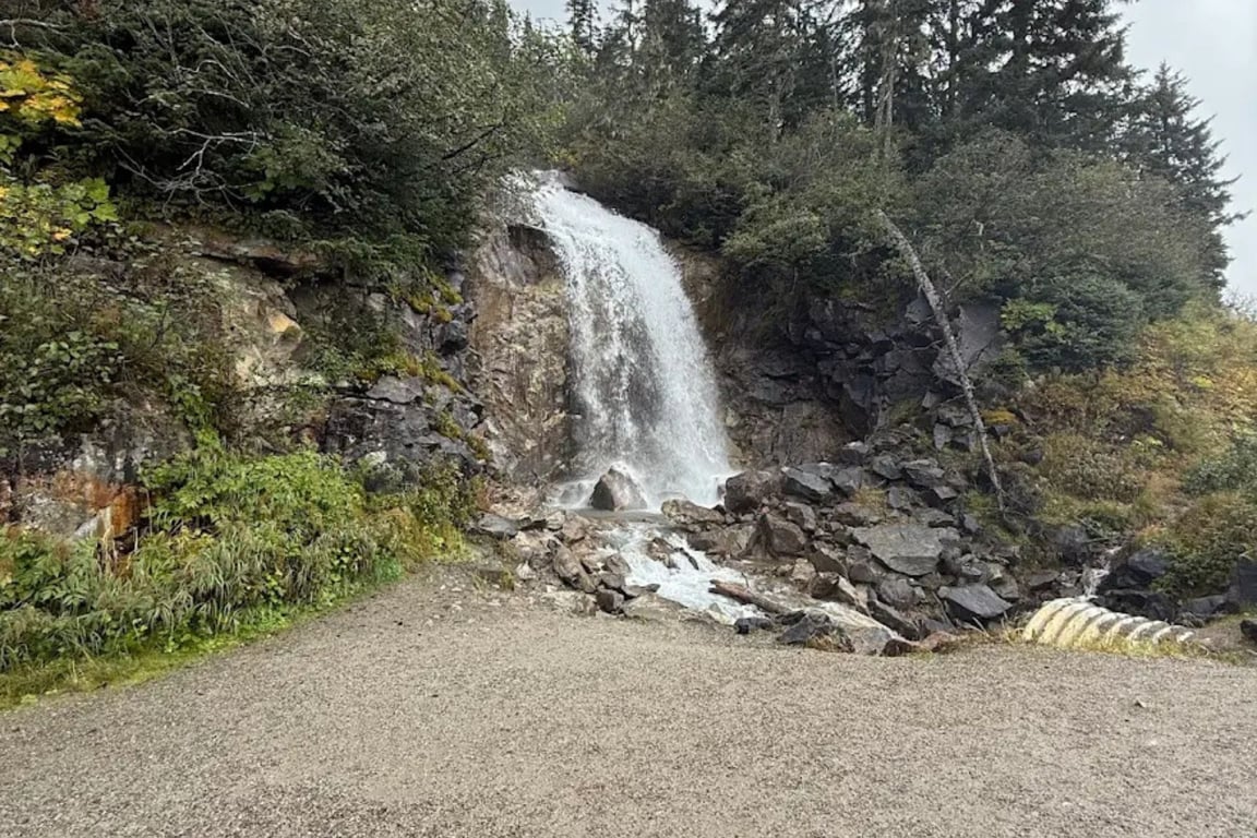 White Pass Summit & City Excursion Tour Image 5