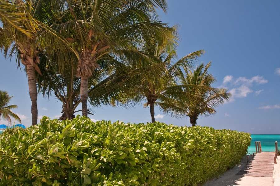 A beautiful view of the beach