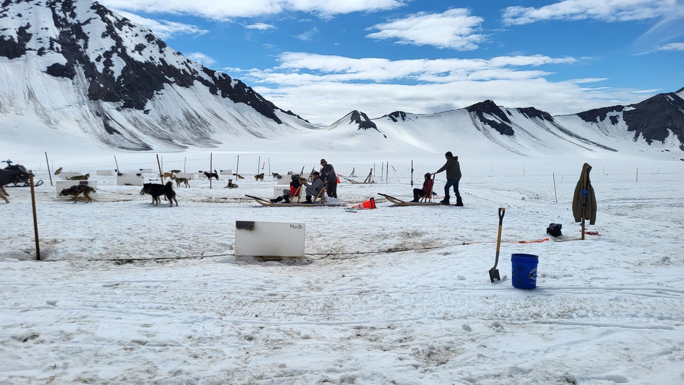 Helicopter ride and dogsled tour review image 0