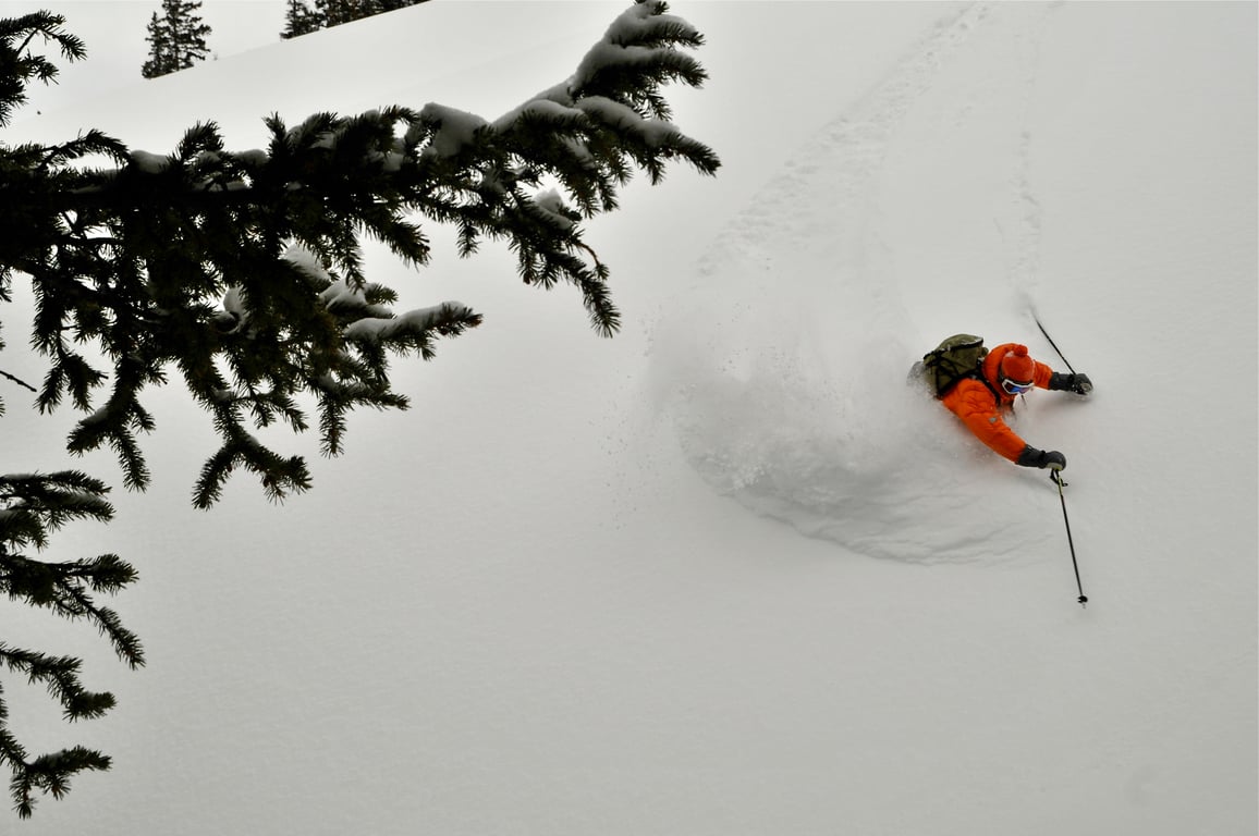 Snowmobile Assist Backcountry Ski Touring Tour Image 3