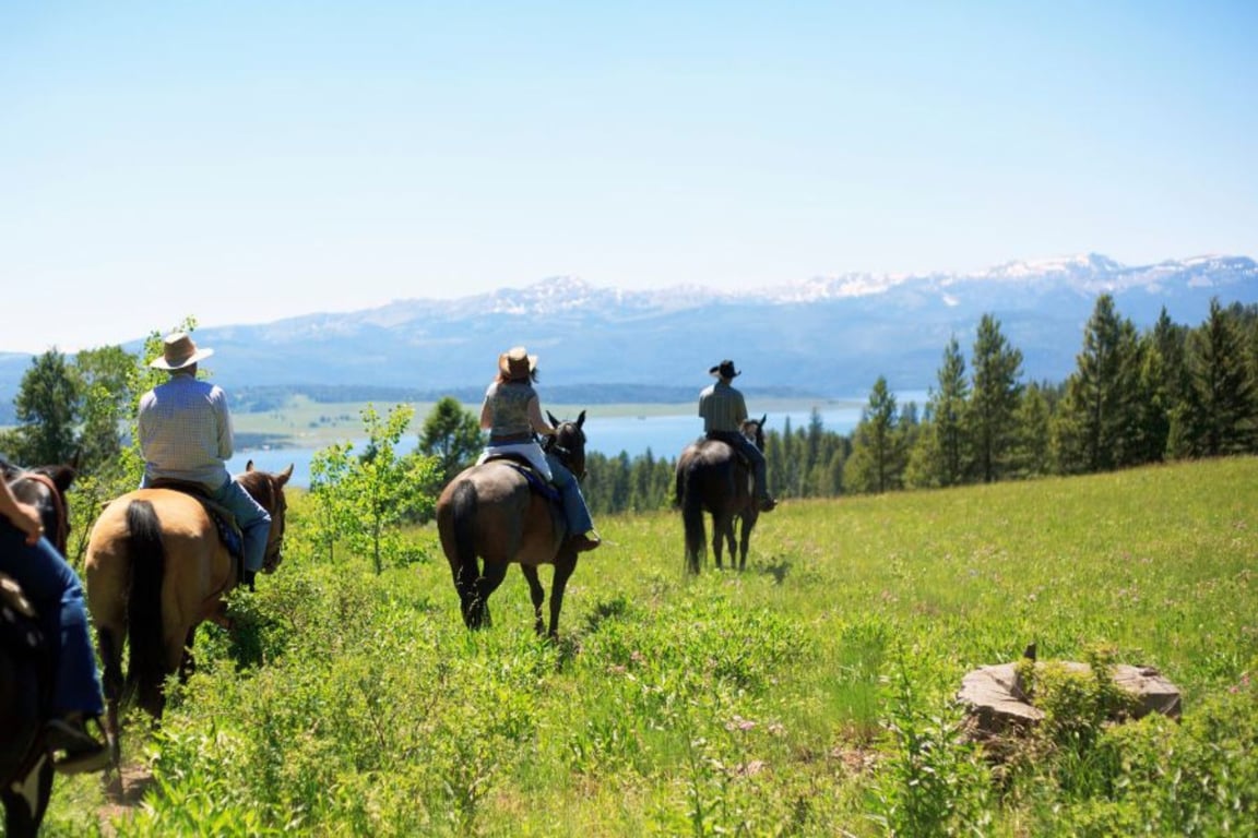 Horseback Riding in Vail: Scenic Trails and Ranch Experiences image
