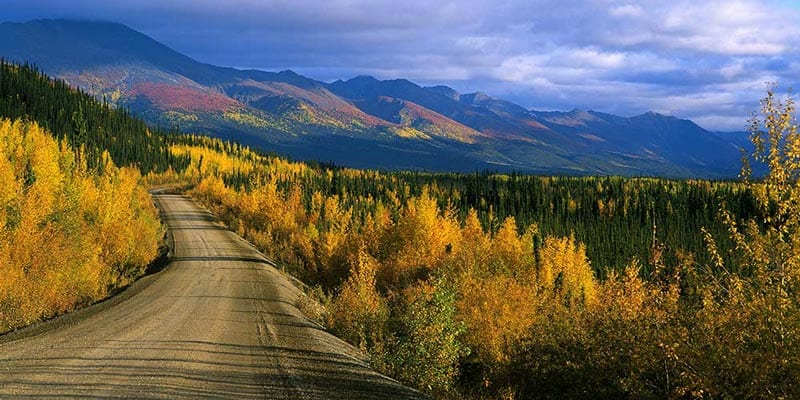 The 10 Best Alaska Shore Excursions