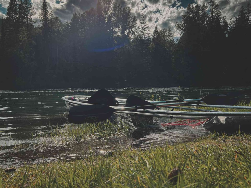 Half-Day Clear Water Kayak Rental Tour Image 4