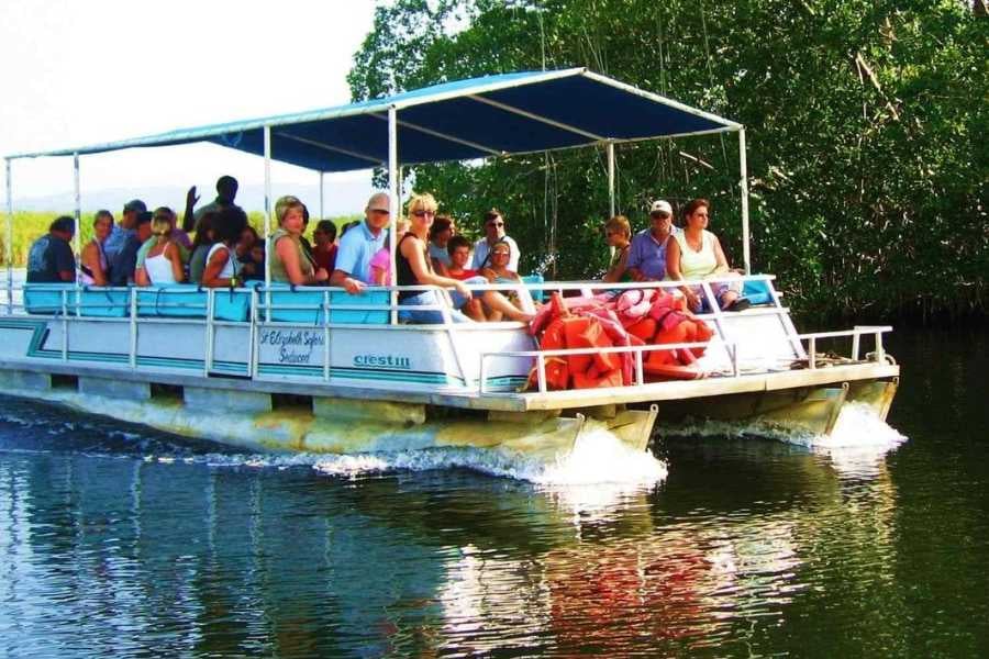 A group of tourists explores a mangrove-lined river on a covered pontoon boat, soaking in nature.