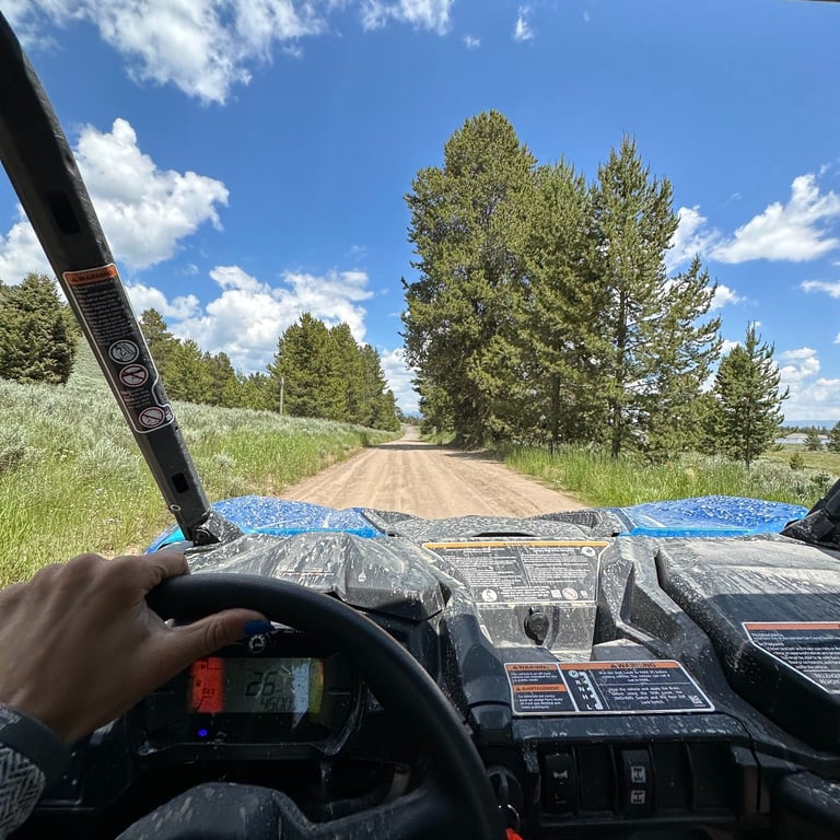Full Day UTV Rental In West Yellowstone Tour Image 5