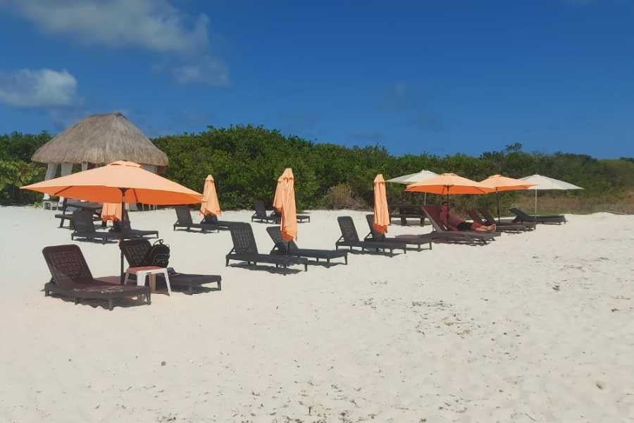 A serene beach with soft white sand, shaded by orange umbrellas and surrounded by lush greenery under a clear blue sky.