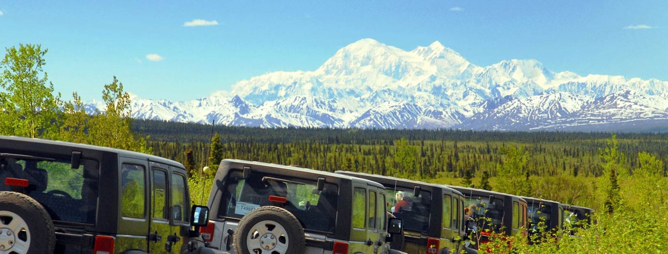 Planning the Ultimate Alaskan Group Adventure: Unforgettable Alaska Shore Tours & Experiences