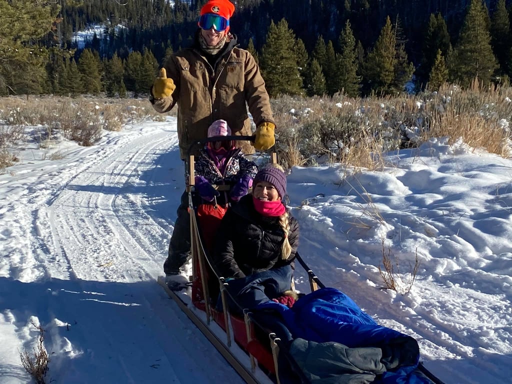 Yellowstone Dog Sled Experience image