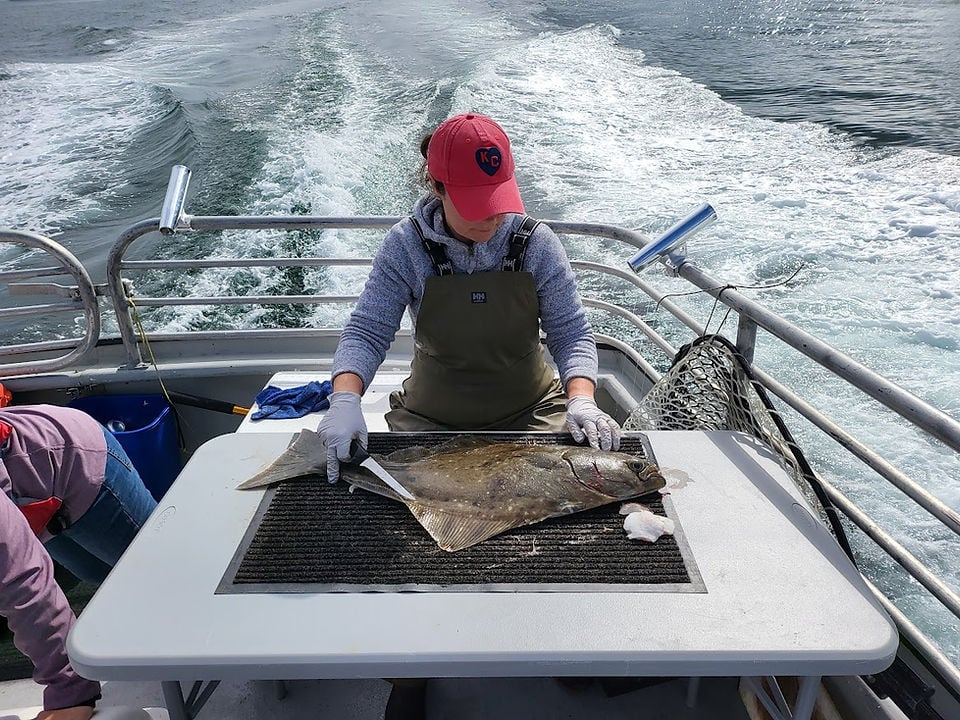 Combination Sightseeing and Fishing Tour Image 2