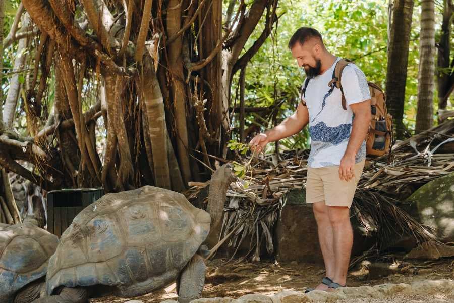 A man is feeding something to a turtle