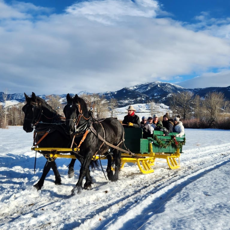 One Hour Bozeman Sleigh Ride image
