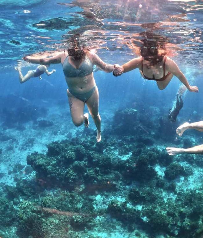 Perfect Snorkel Day review image 0