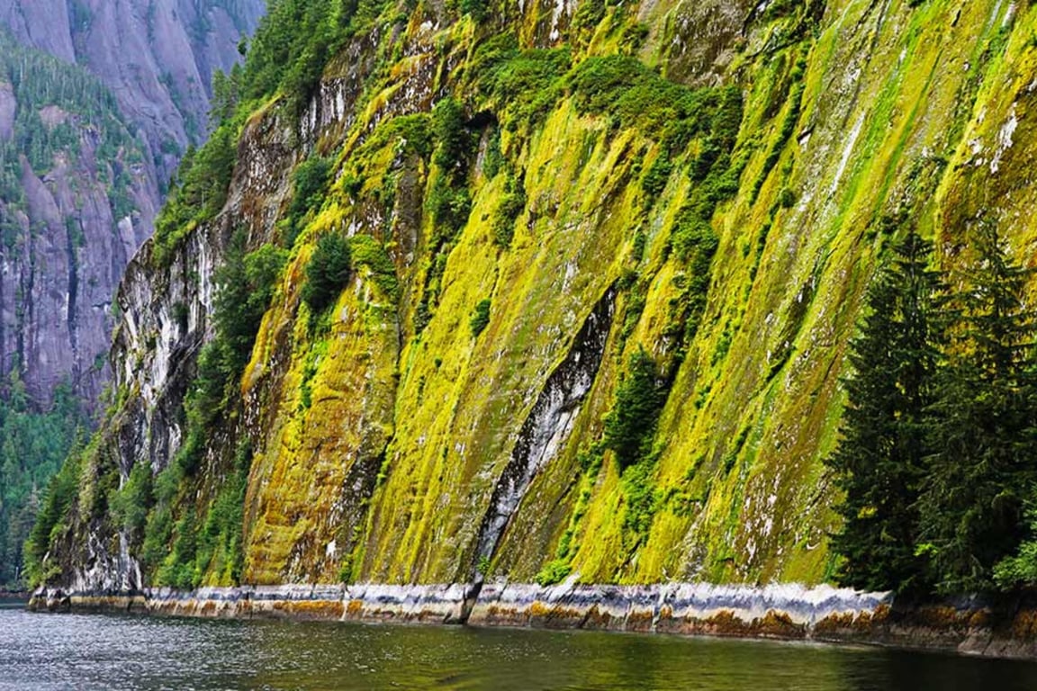 Misty Fjords Flightseeing image