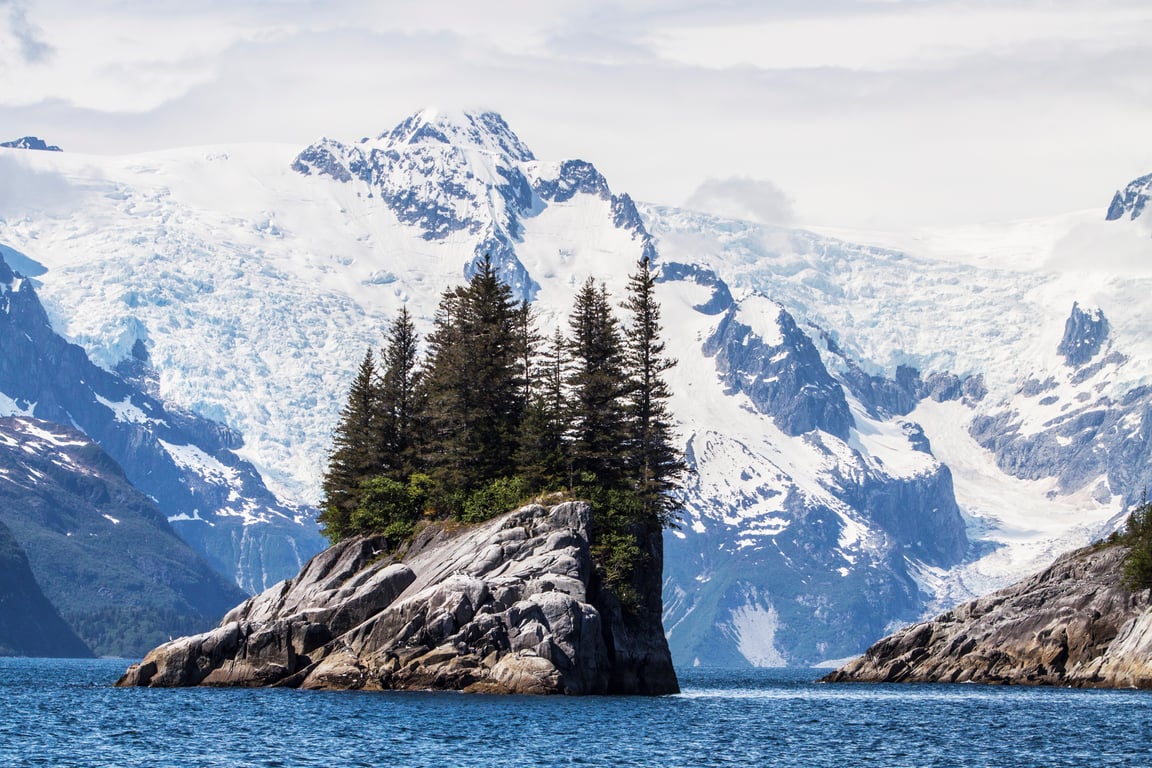 6 Hour Kenai Fjords National Park Cruise Tour Image 3