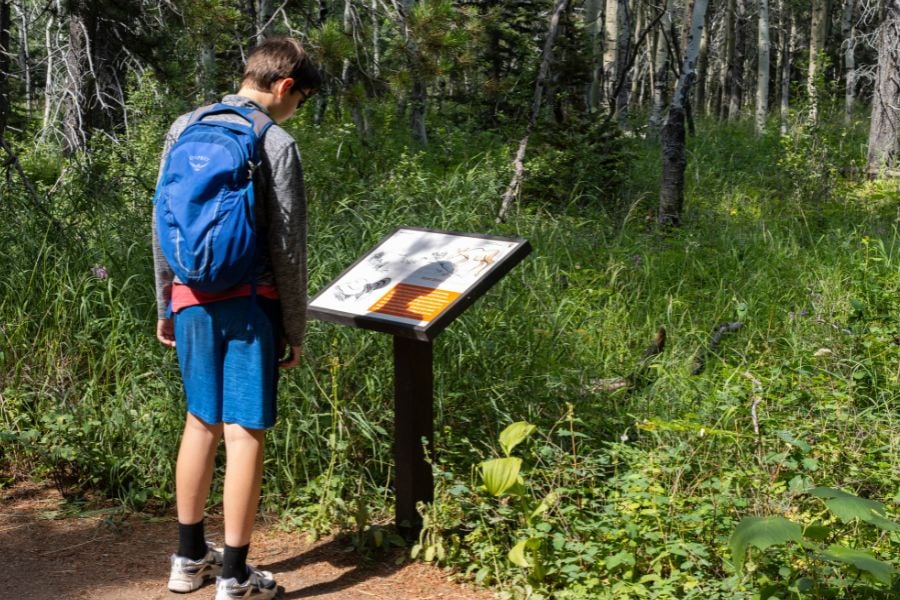 A young hiker reads an informational sign along a quiet forest path.
