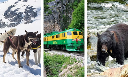 Alaska Tour Packages image