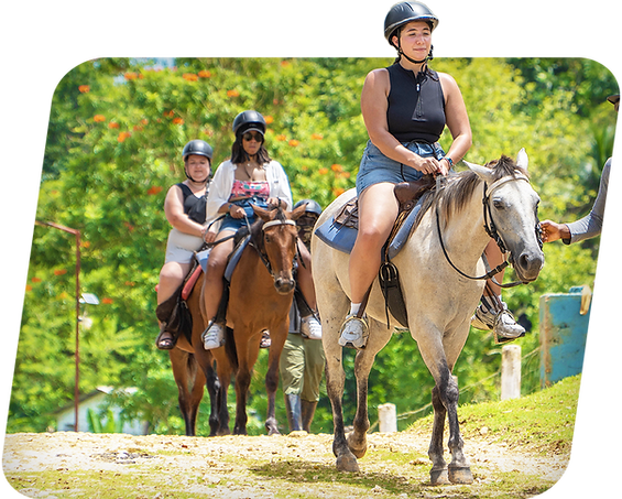 Ultimate Negril Adventure Tour Image 6