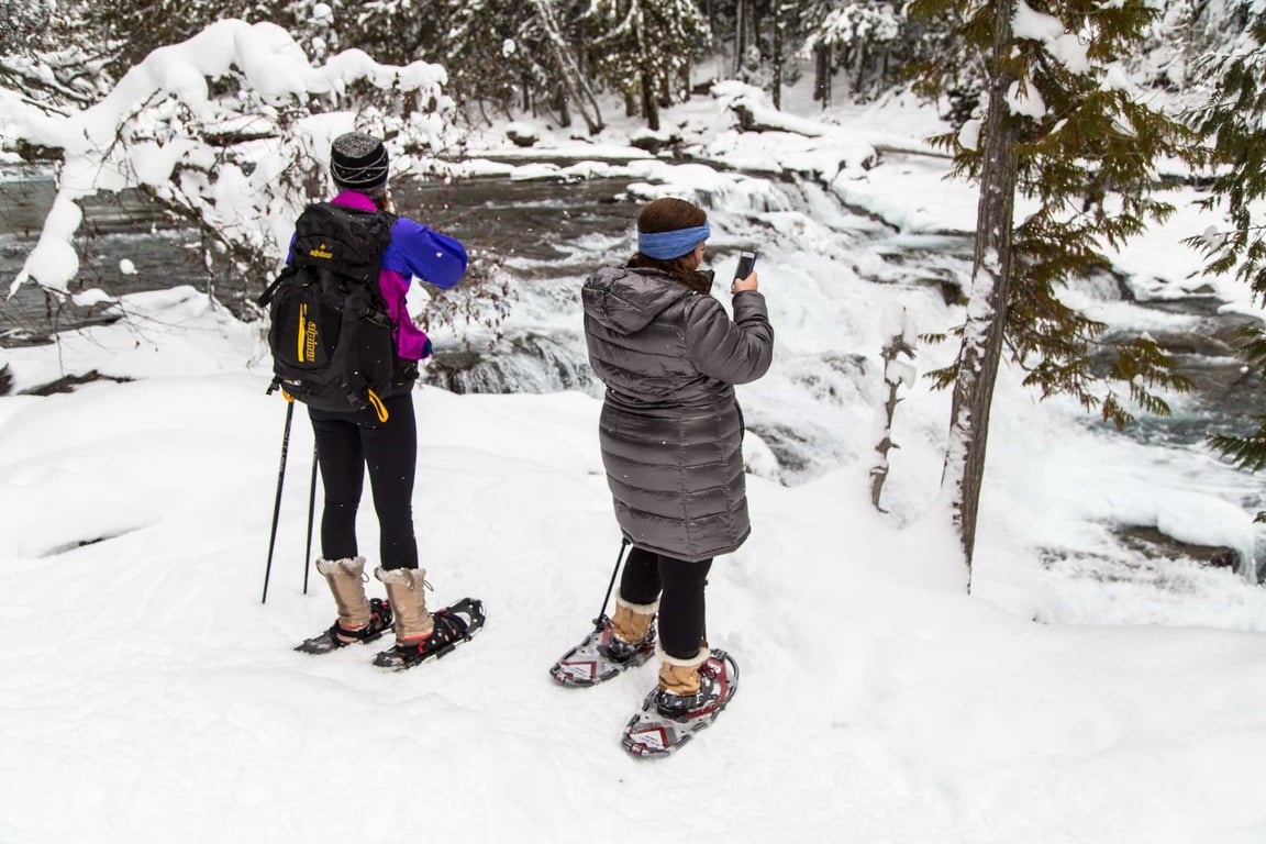 Glacier Park Sightseeing & Snowshoe Tour Tour Image 2