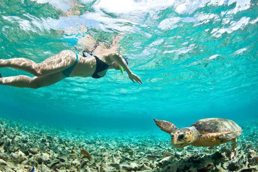 A snorkeler swimming alongside a sea turtle in crystal-clear water.