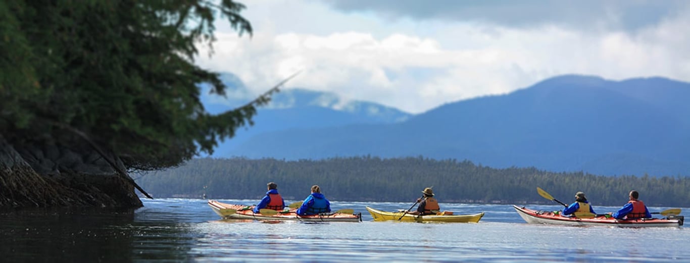 Orca Cove Sea Kayaking image