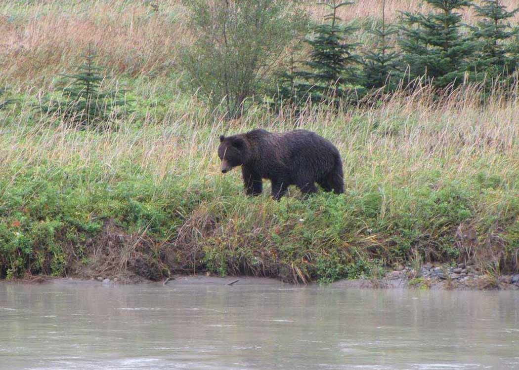 Private Emerald Lake Tour Tour Image 5