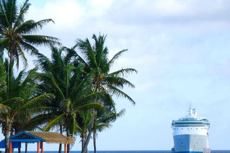 Palm trees frame a view of a cruise ship in the distance, creating a tropical atmosphere.