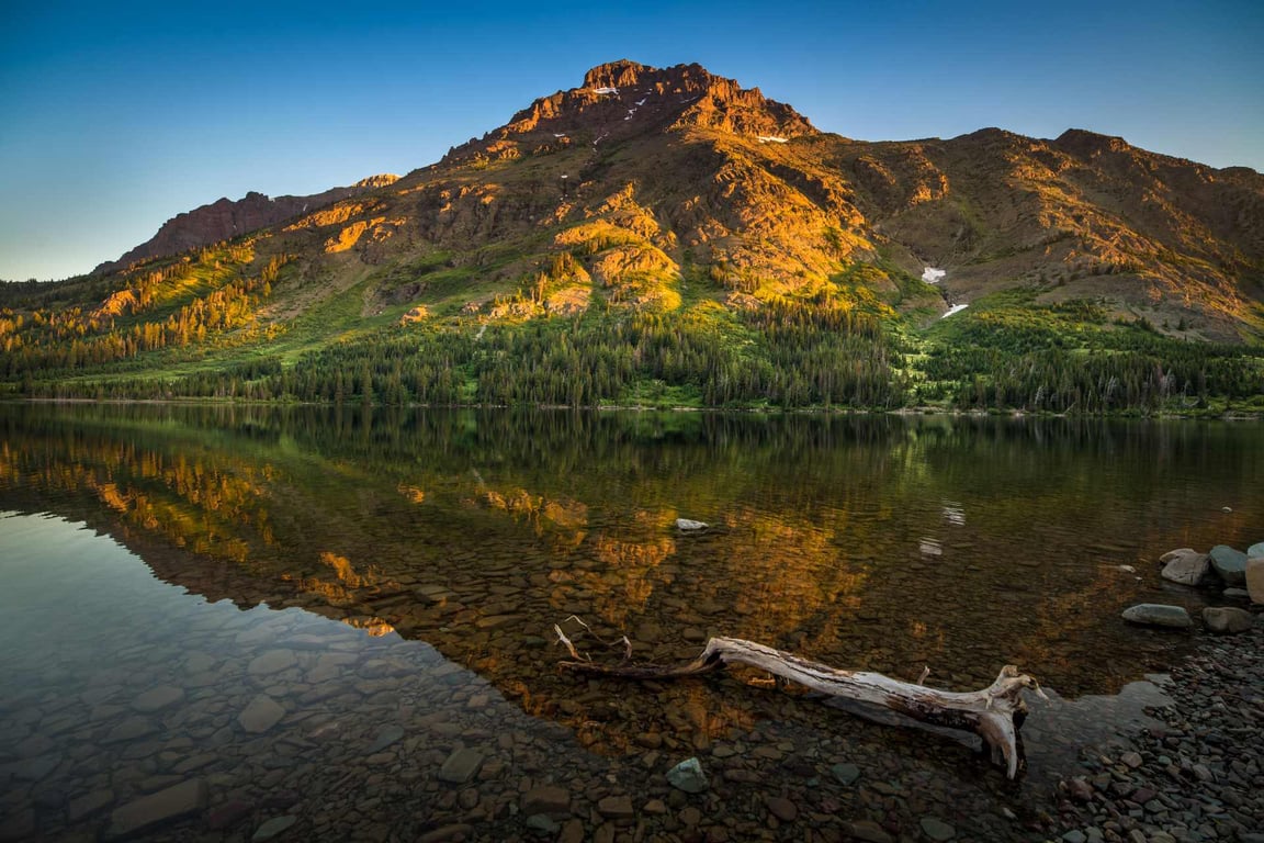 reflection of rising wolf mountain in the waters of two medicine lake