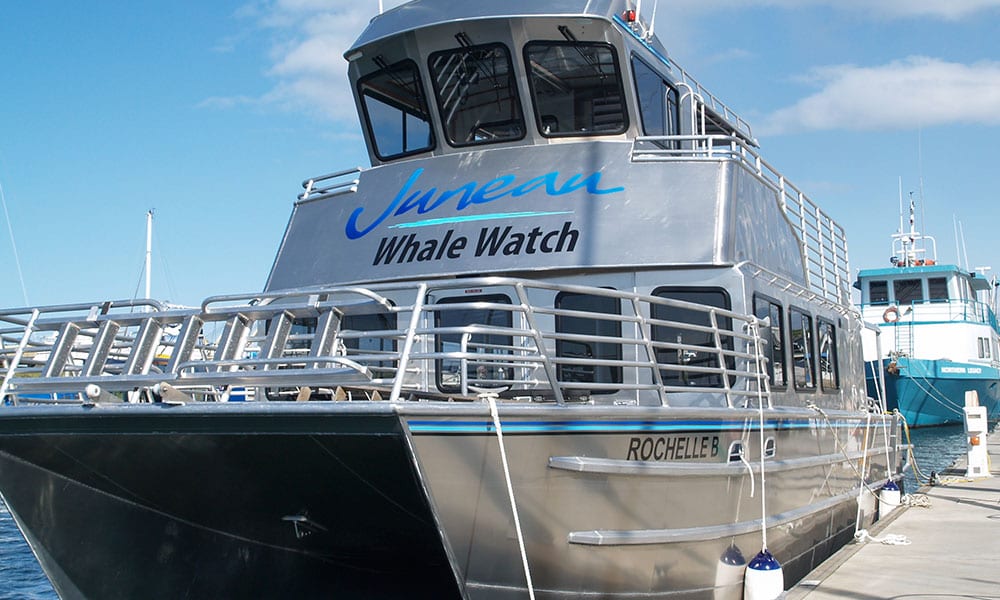 Whale Watching Tour Tour Image 36