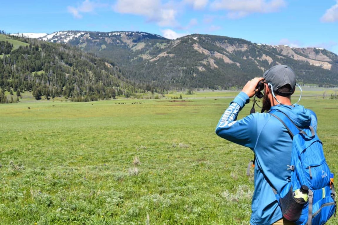 Lamar Valley Full Day Hiking Adventure image
